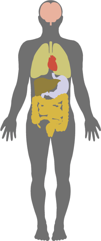 寻找我的验身计划-香港一站式医务中心|香港时代医疗集团