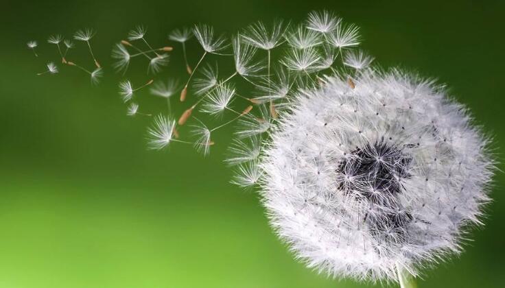 如何知道自己是否患上过敏？