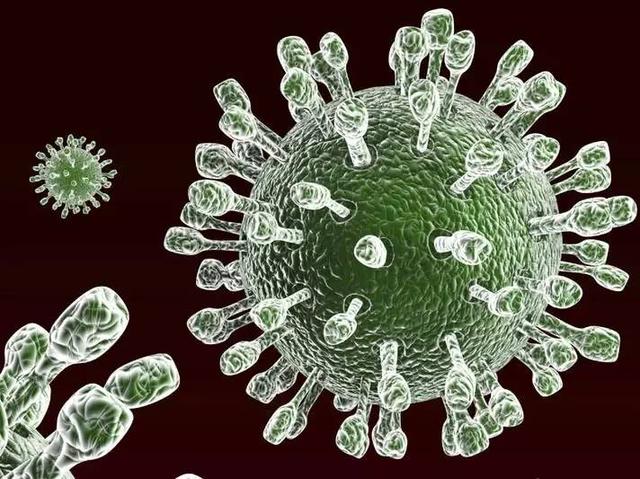 轮状病毒腹泻会致死吗？