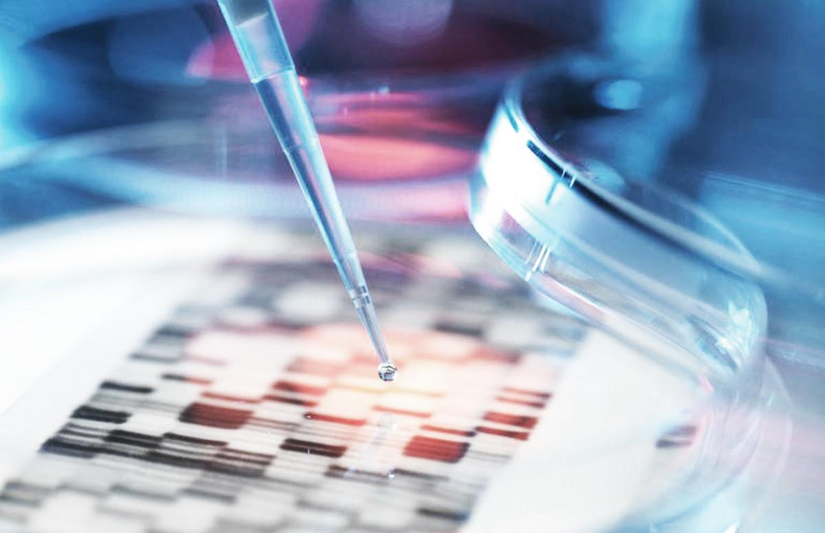 除此之外，我们还可以做什么？