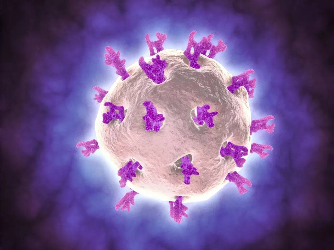 轮状病毒的危害程度如何？