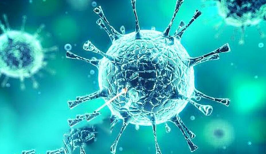 流感疫苗打不打？不打，伤害更大！