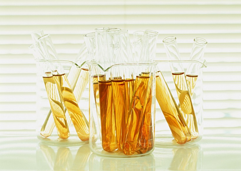 拿到疾病易感基因检测报告时该怎样看？