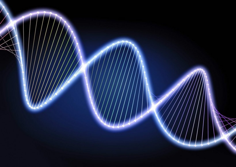 如何判断亲子鉴定机构是否靠谱？