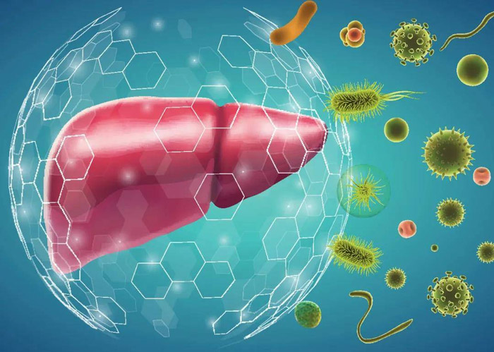 乙肝携带者会否传染病毒？具备一定传染性