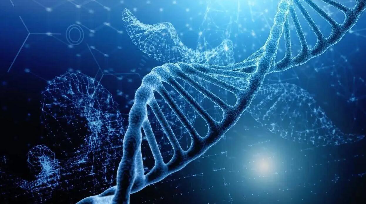 如何提前预知遗传性疾病风险？了解基因检测的好处