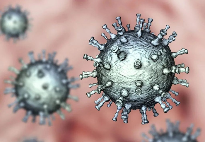 生蛇是一种什么病？