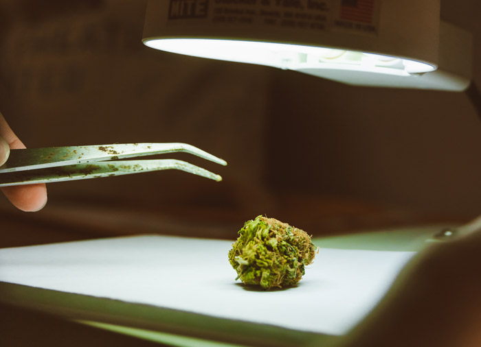 体检时最害怕的检查项目有哪些？便常规