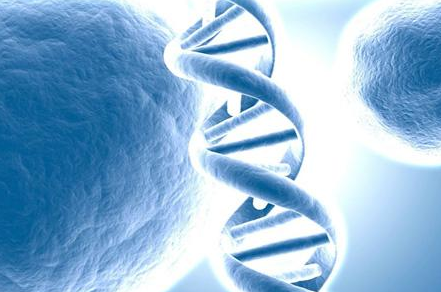 什么是癌症基因检测？