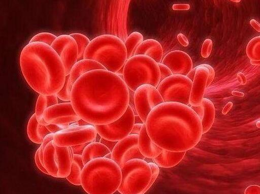 地中海贫血基因检测结果怎么看？