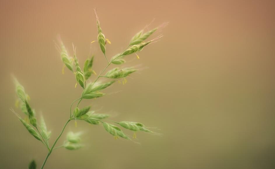 过敏测试有哪些方法？