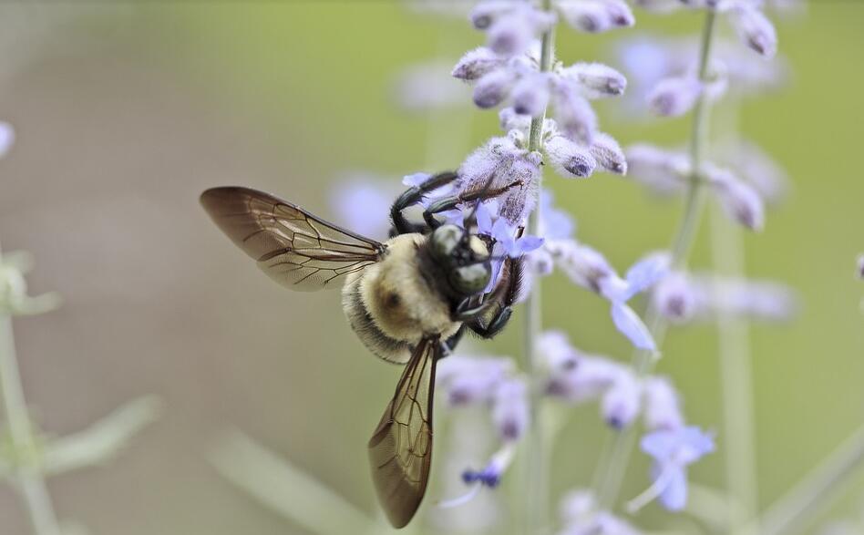 过敏有什么危害？