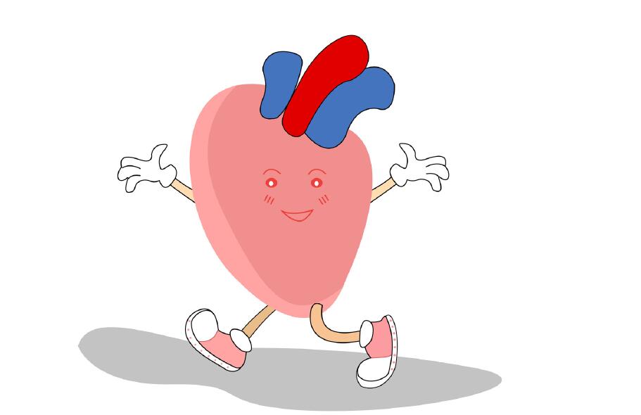 吃什么能软化血管？坊间流传方法不可尽信