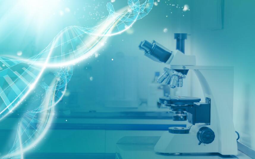 地中海贫血与普通贫血的区别有什么？