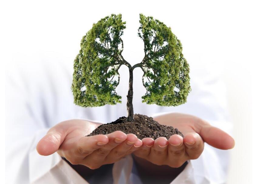 打过疫苗宝宝就不会得肺炎？