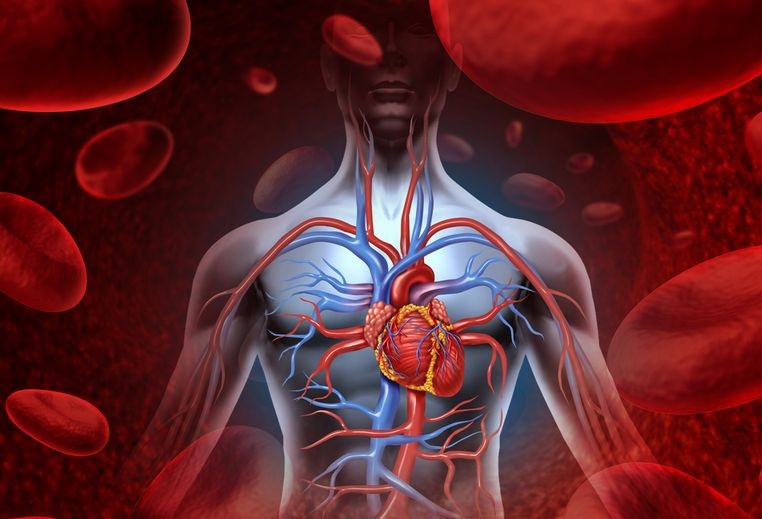 远离胆固醇大作战 「高胆固醇」对身体的危害