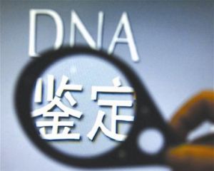 DNA亲子鉴定能否检测亲属关系？