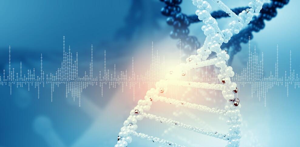 诊断地贫的金标准——地贫基因检测