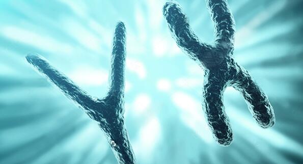 无创产前基因检测作用大