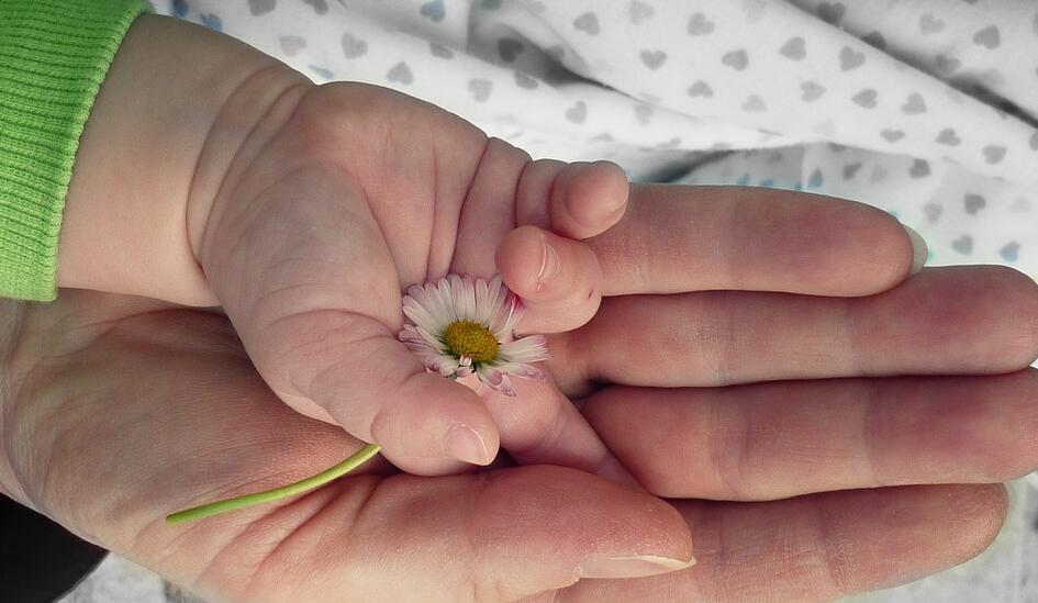 哪种亲子鉴定方式比较准确？