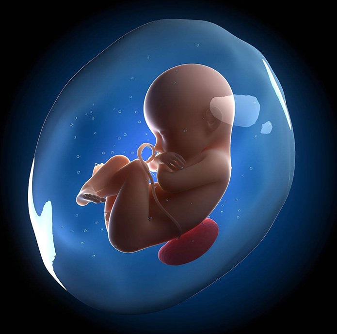 无创基因检测抽妈妈几滴血就能知宝宝健康？