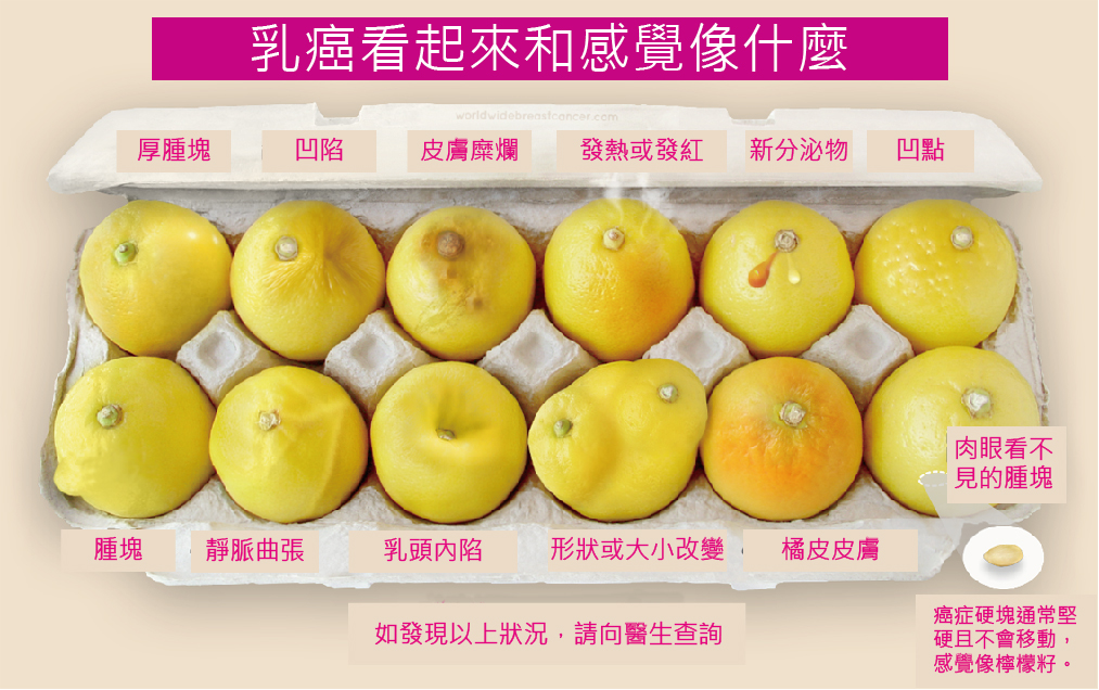从12颗柠檬形状图 了解乳癌12种征兆