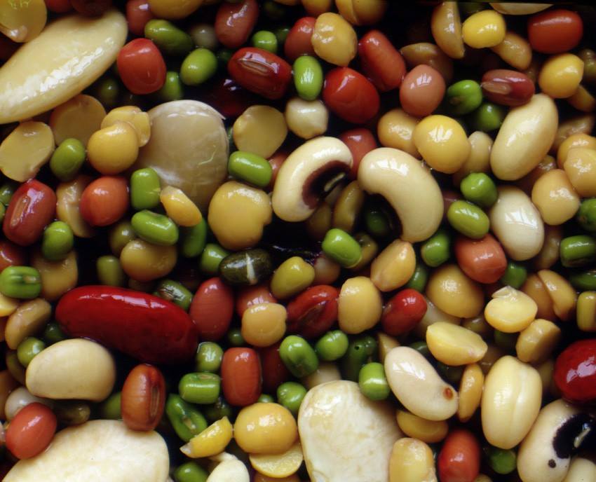 吃豆保健,预防癌症