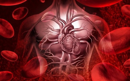 健康体检项目一：心血管疾病检查